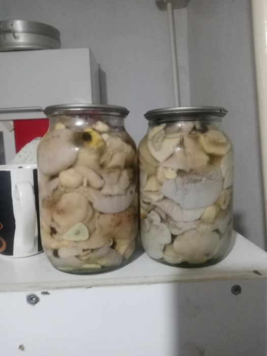 Маринованные грибы