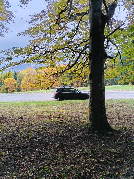 Subaru forester 2.0 diesel