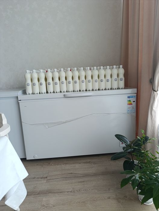 Балғын Қымыз,шұбат