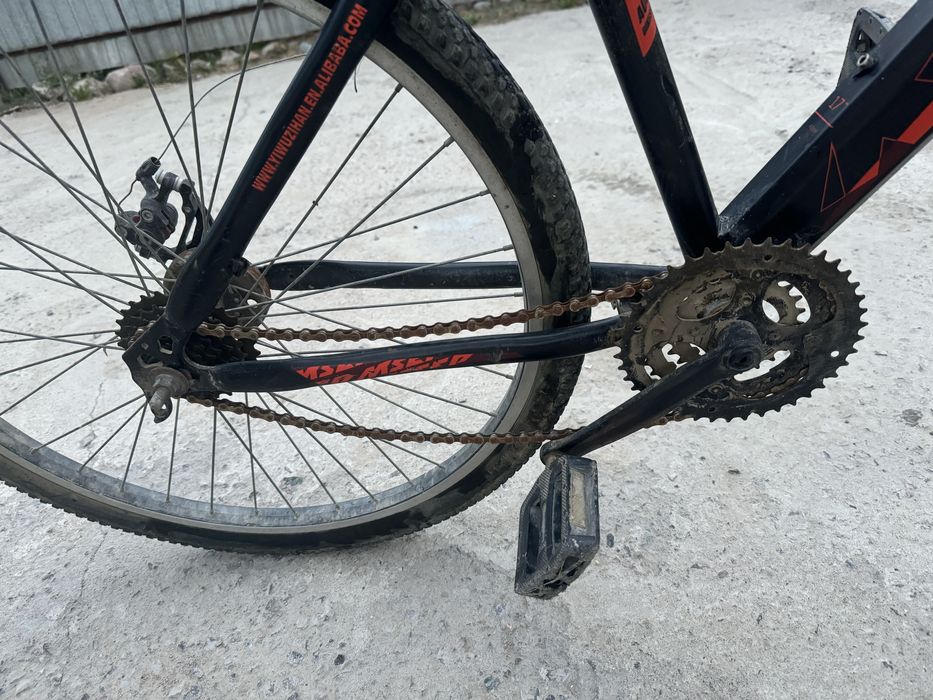 Велик бушный.