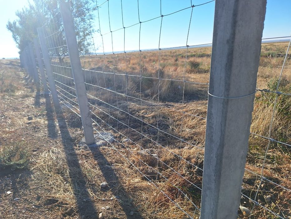 Сетка, Чабанка, шарнирный сетка, Рабица