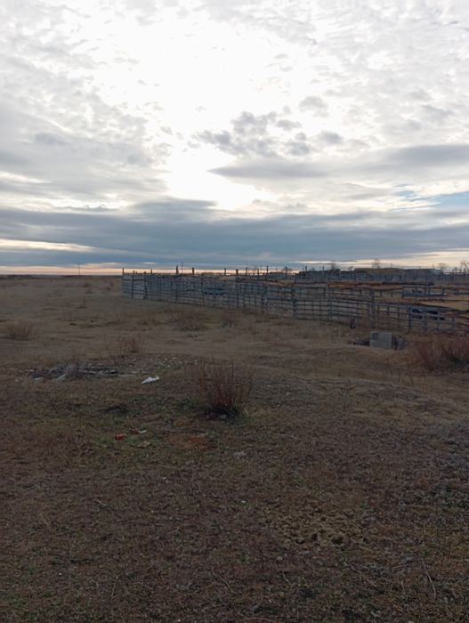 Земельный участок