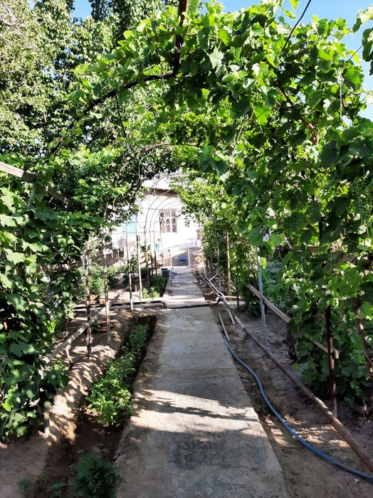 Продается дача 9.25 соток в "Оазисе"