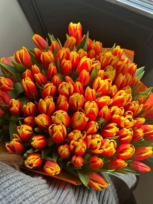 Тюльпаны Алматы свежая поставка