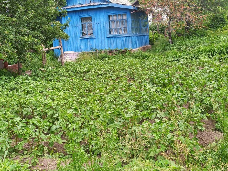 Продам дачу в г.Текели