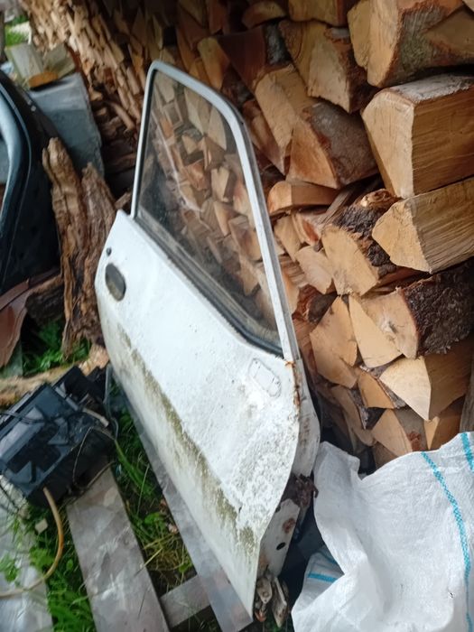 Ușa dreapta Dacia Papuc 1304