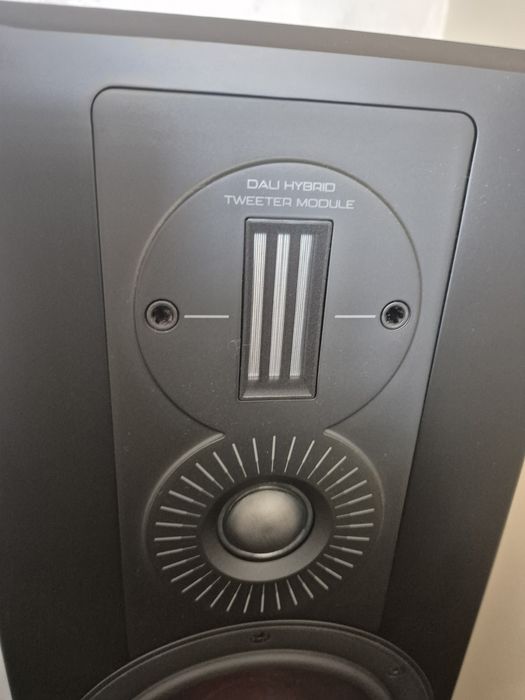 Тонколони DALI OPTICON 6 MK2