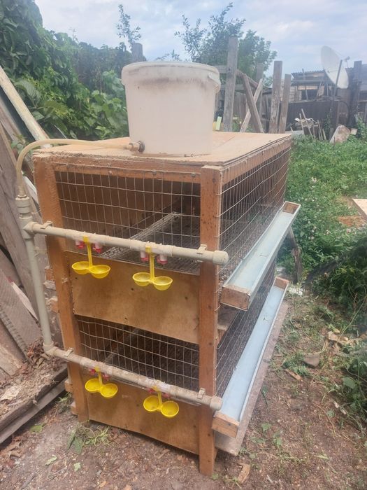 Брудер для цыплят