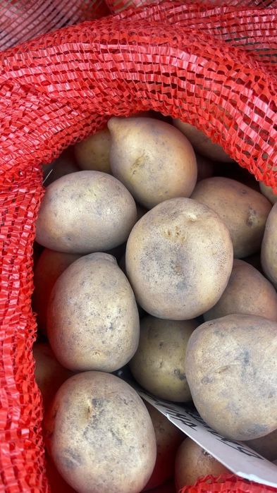 Продам картофель