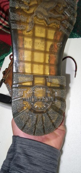 Объвки Mustang номер 42