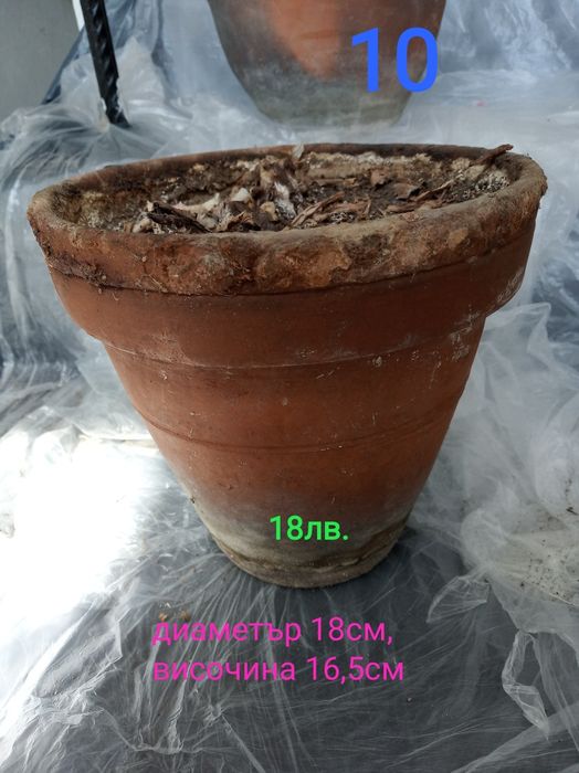 Стар модел саксии за цветя