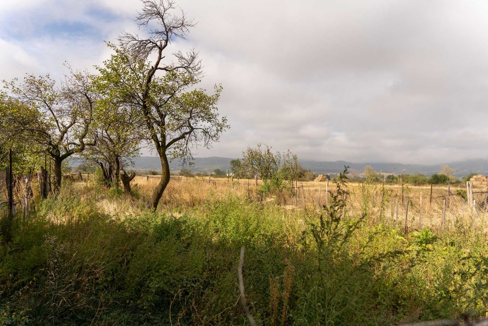 Casa batraneasca de vanzare .