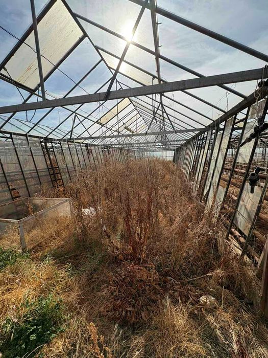 Дава се под наем Земеделски имот в Бухово -  кв.м за 629.34 € - Снимка #4