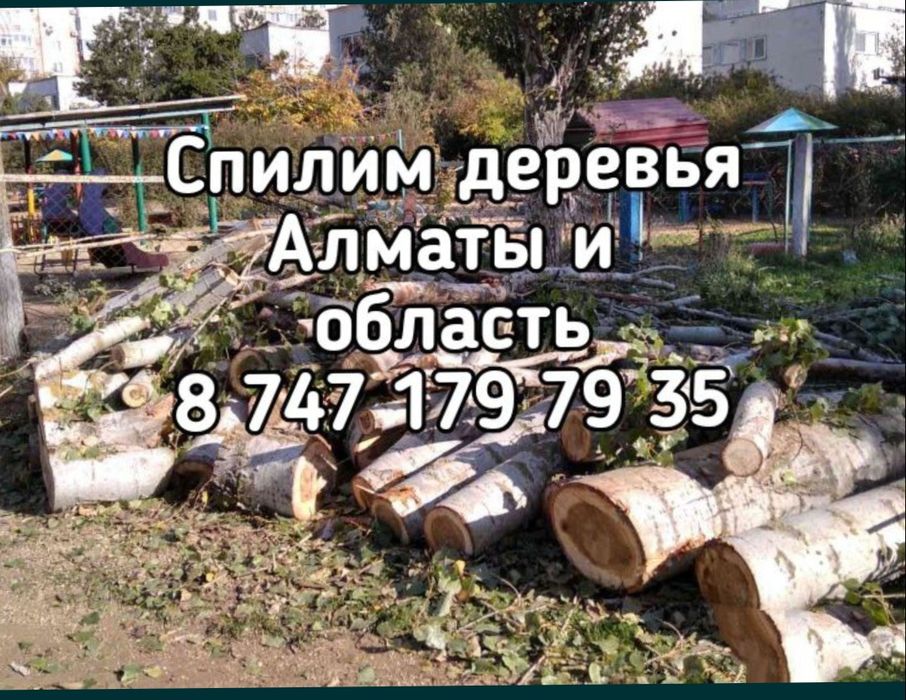 Спилим деревья. Спил деревьев. Автовышка.Спилить пилим. Ағаш кесу. Ага