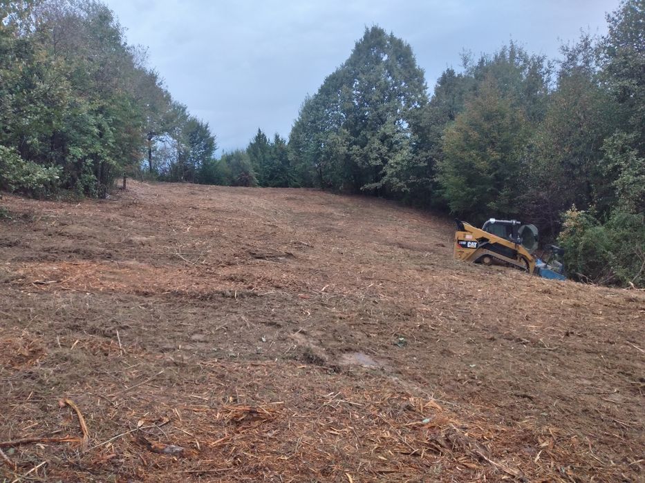 curățare teren defrisari tocator forestier burghiu pământ freză cioate