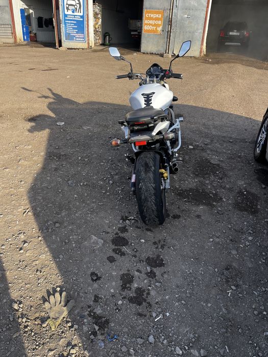 Honda cb 600 f hornet обмен/продажа