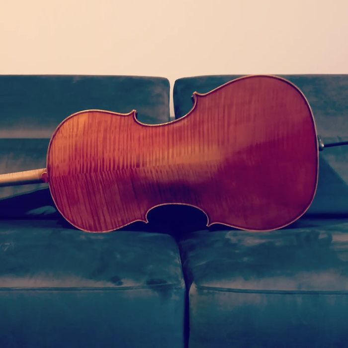 Violoncel maestru Strad copy