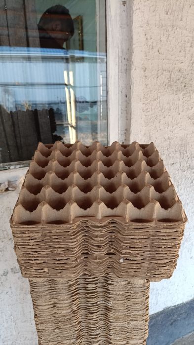 Лотки для Яиц в количестве 2000 шт