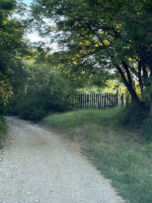 Teren intravilan 1500 mp, Garlenii de Sus