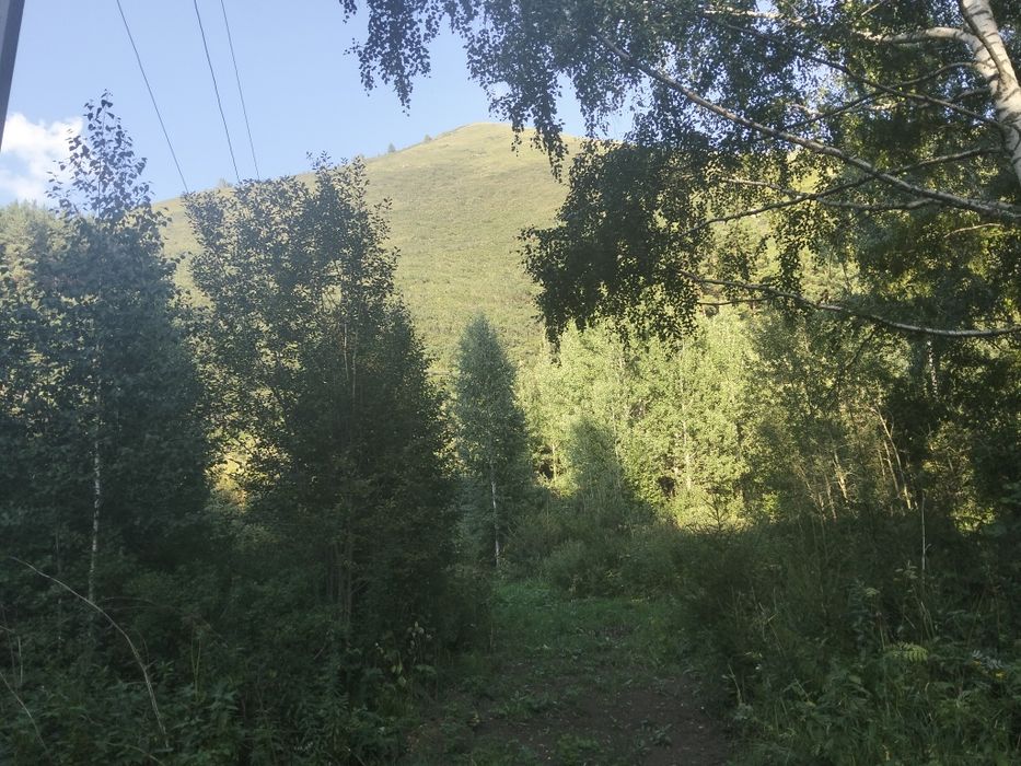 Продам участок в Ущелье 12 соток