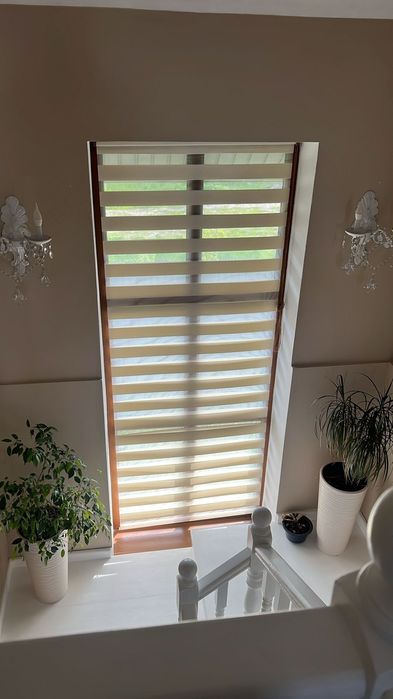 Жалюзи/Ролл-шторы/День-ночь