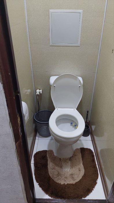 Феруза массив 1в2х. 350