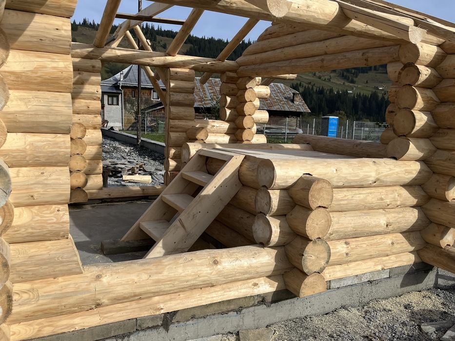 Cusca/ căsuta pentru câini