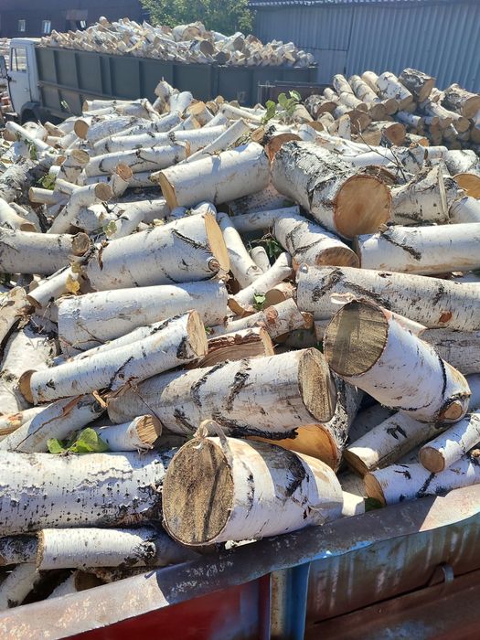 Продам дрова  береза чурками.