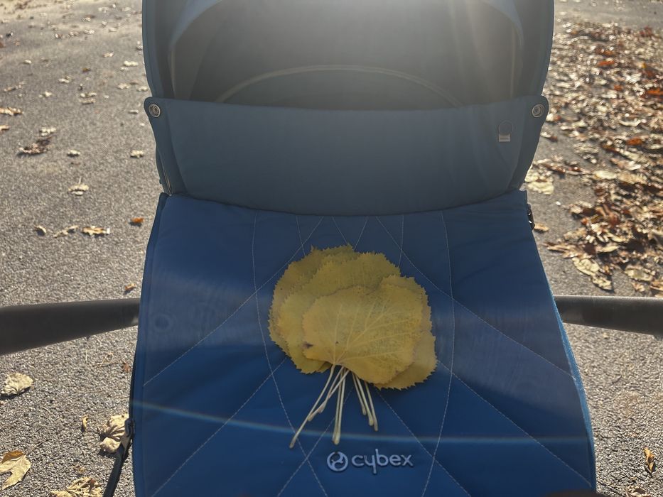 Кош за новородено Cybex Mios Lux