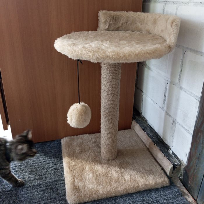 Царапка для кошек б/у