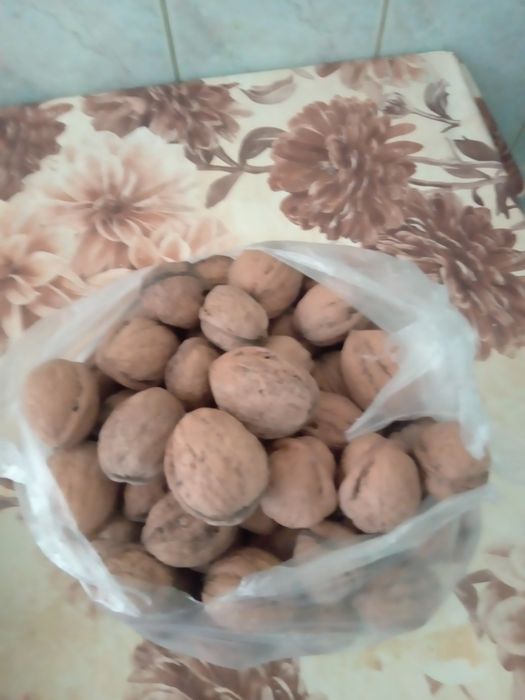 Nuci de vanzare in coaja