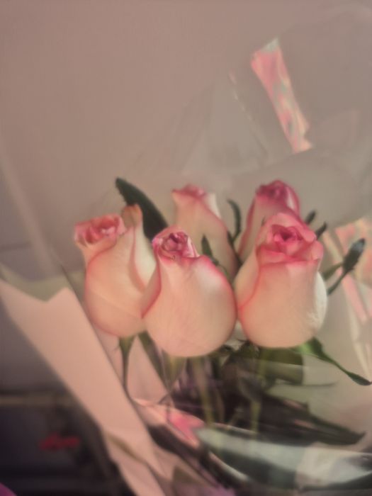 Свежие  букеты розы