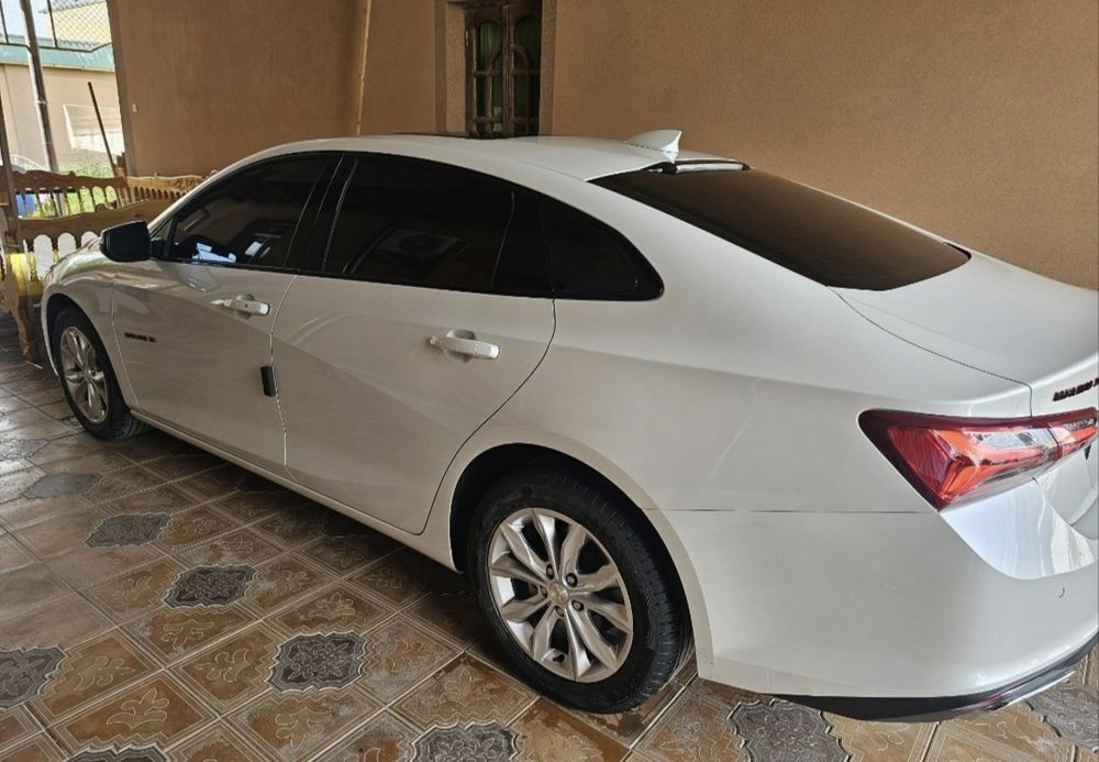 Malibu 2XL zavod2023