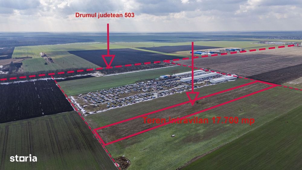 Teren intravilan Belciugatele*300 m de DN*Linie de tensiune medie*Plat