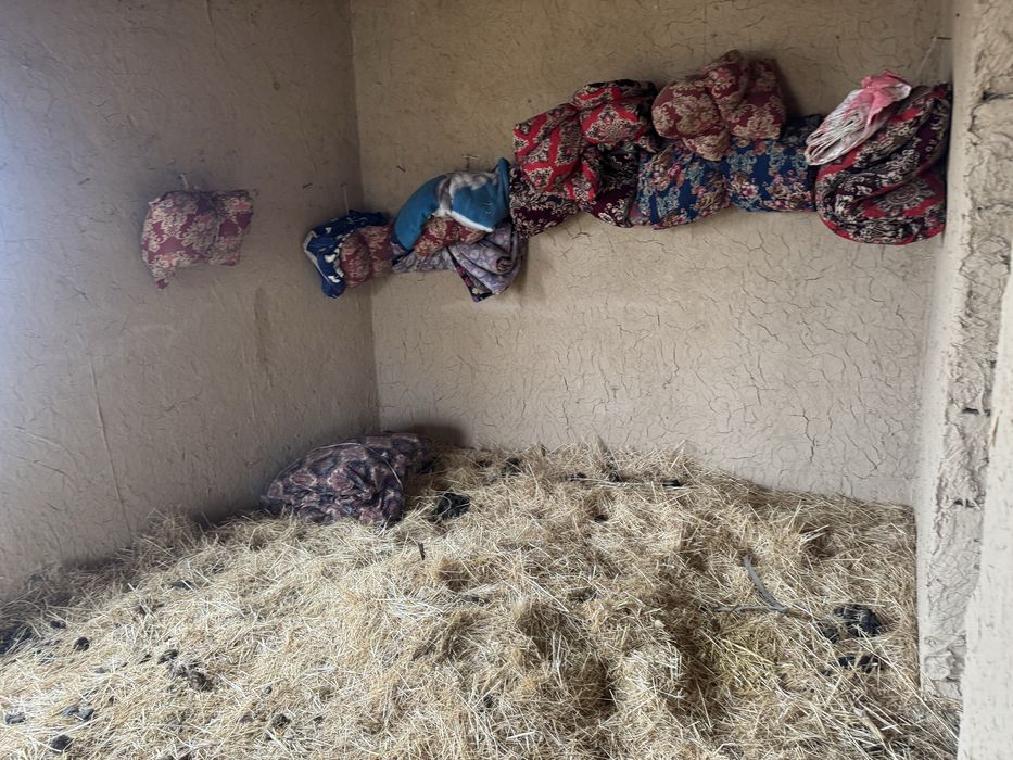 Дача Краснагорскда Паркент