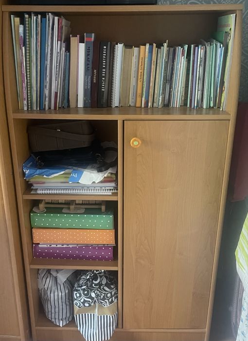 Детский шкаф для одежды и для книг