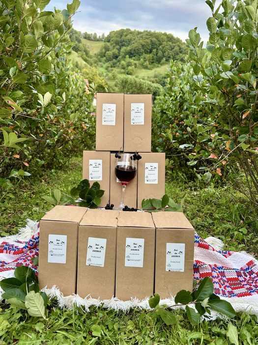 Suc de ARONIA 100% Natural