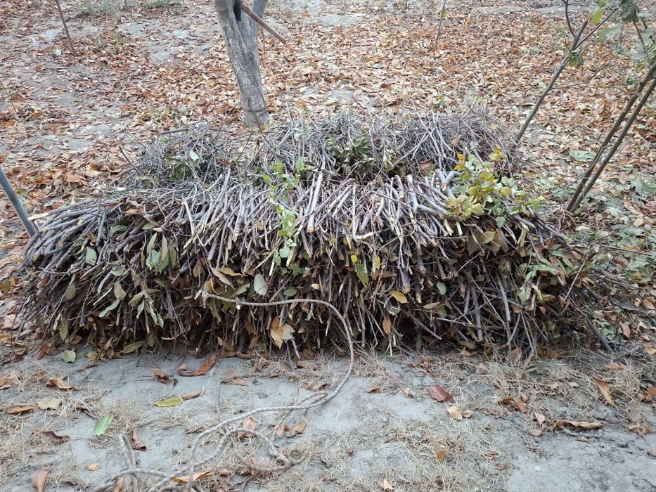 Дрова , o'tin бесплатно