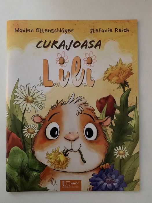 Cărți copii 4-8 ani