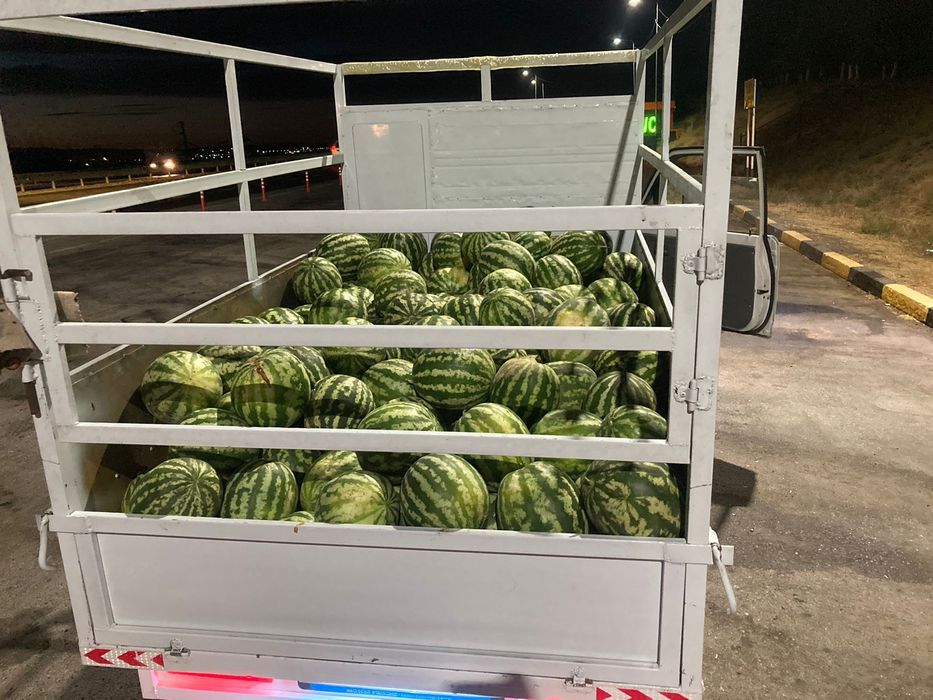 Лабо сатылады 1 тонаға дейін котереді