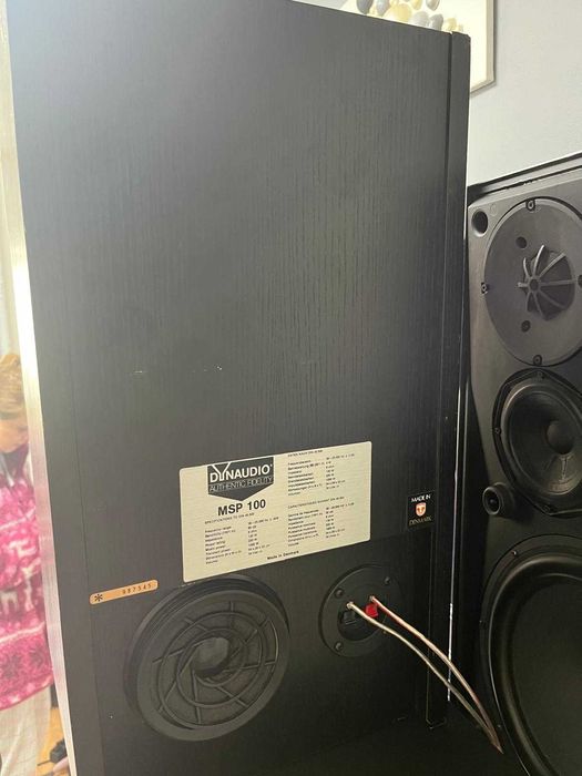 Boxe Dynaudio MSP100