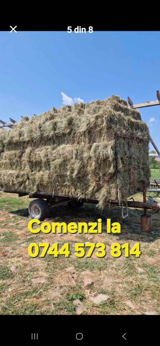 Baloti fan sau lucerna min.40 Rotunzi.500 drept.La TIR Ferma de dat pe servicii Capre Vaci Oi Porci