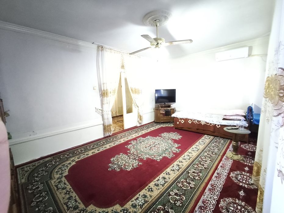 Zamonaviy kotej sotiladi