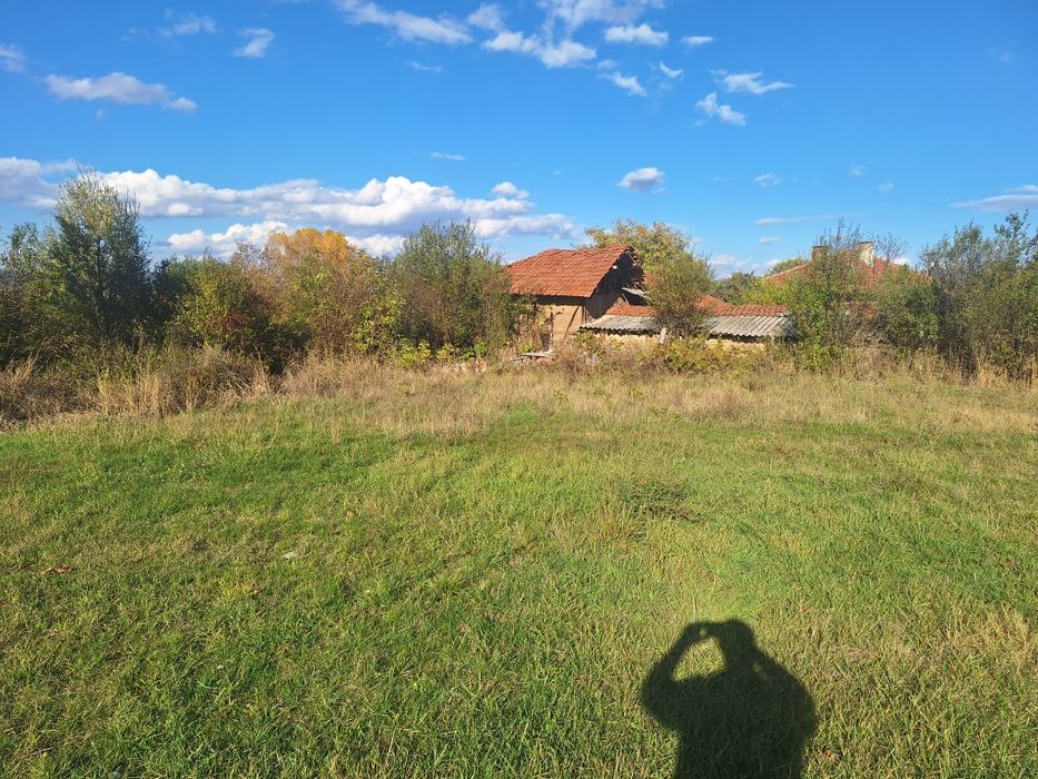 Дворно място в регулация