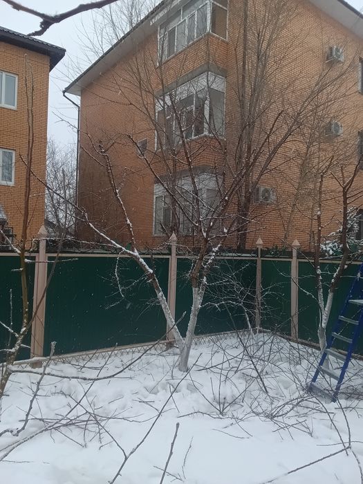 Обрезка деревьев