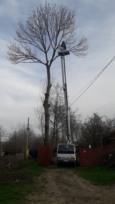 Vînd și  Închiriez  prb Nisan , si miniexcavator Yukai