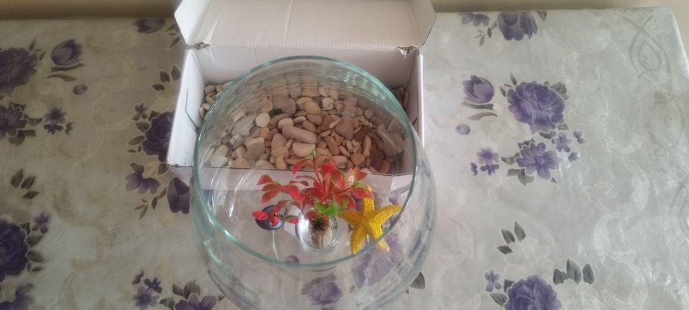 Аквариум 5 литров комплект