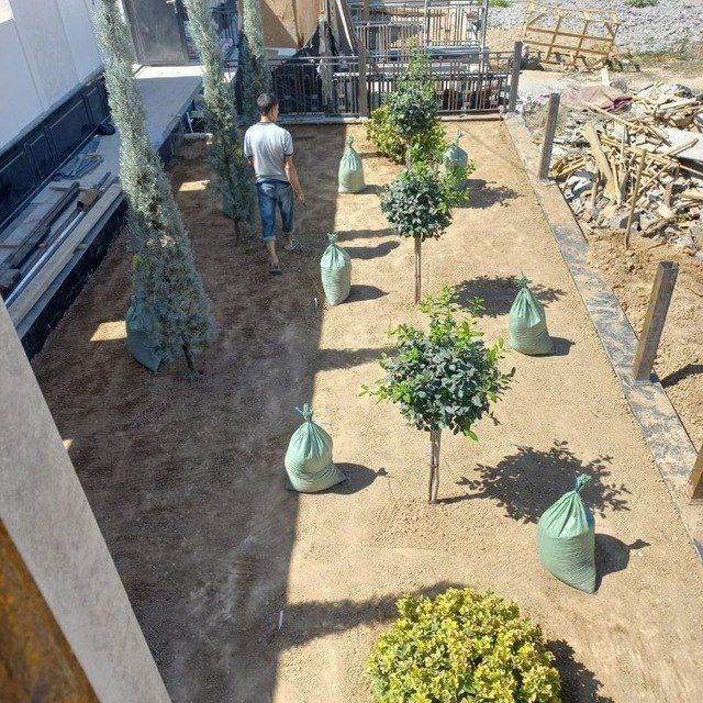 Gazon xizmati bor ekish 25 ming tayor gazon yotqizish 60 mingdan