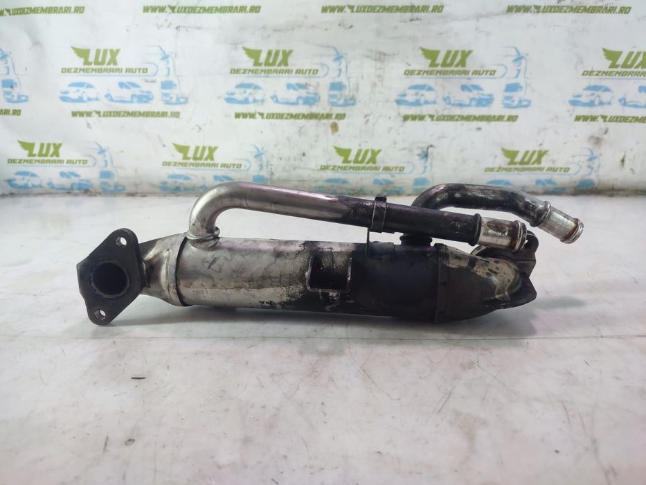 Racitor gaze 2.0 tdi bpw Audi A6 4F/C6 [2004 - 2008]