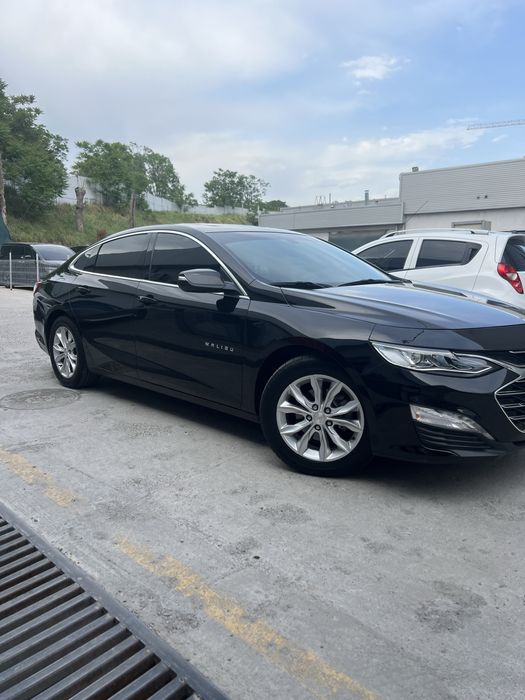 Malibu 2021 premier full